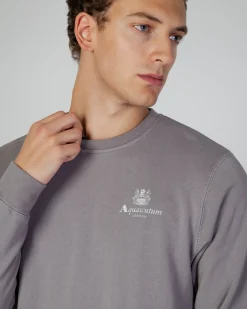 Outlet Aquascutum Active Active Small Logo Crew Neck Fleece