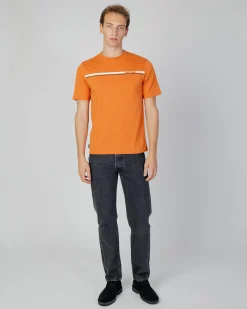 Clearance Aquascutum Active Active Stripes