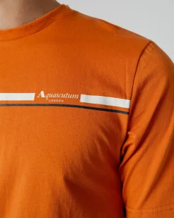 Clearance Aquascutum Active Active Stripes