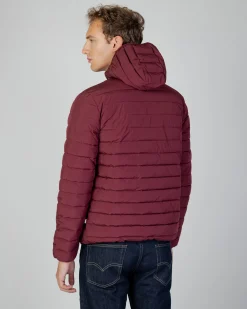 New Aquascutum Active Active100Gr Hooded Jacket
